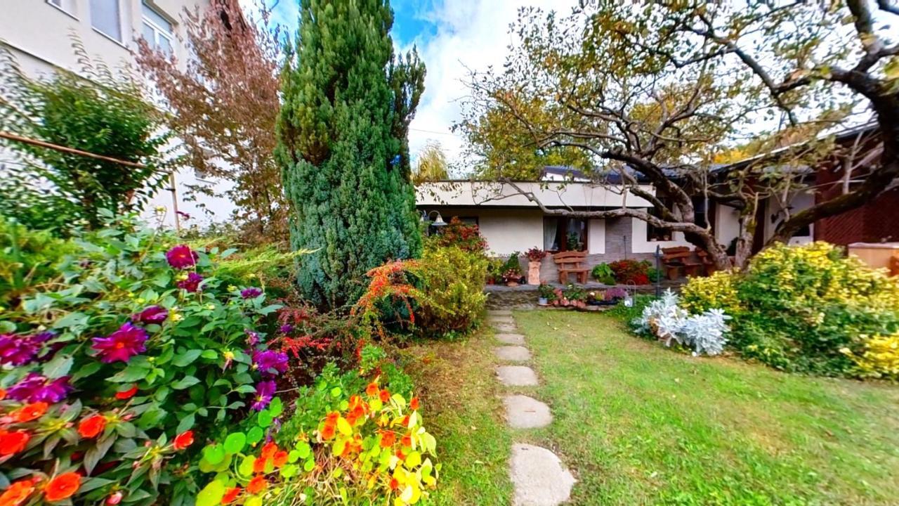 Villa "'Nu Ma Uita" Sovata Extérieur photo