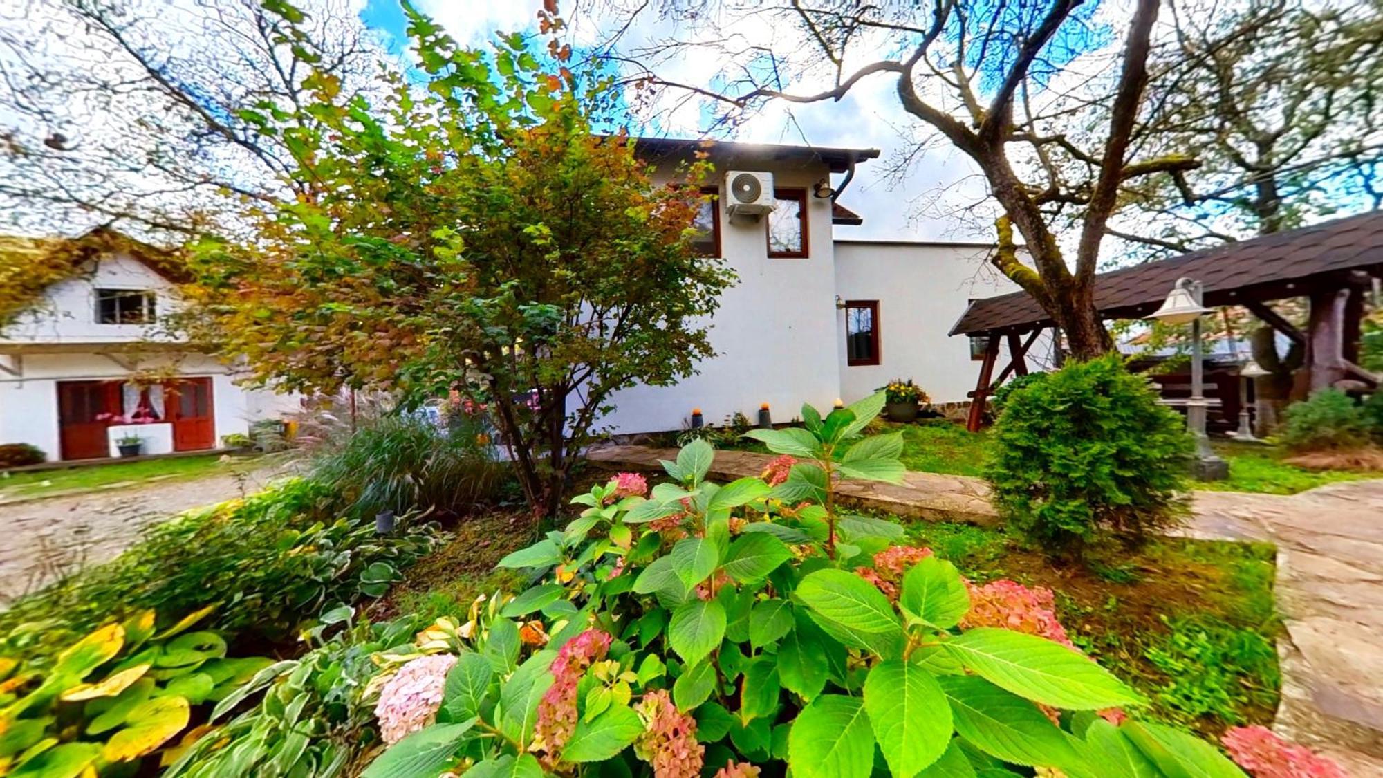 Villa "'Nu Ma Uita" Sovata Extérieur photo