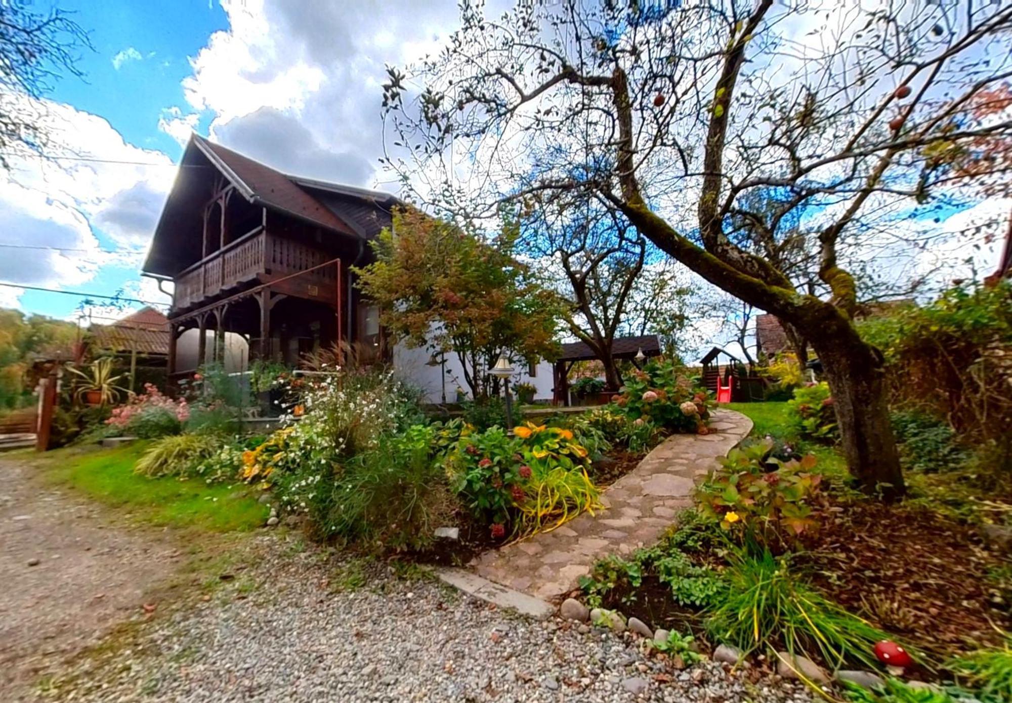 Villa "'Nu Ma Uita" Sovata Extérieur photo
