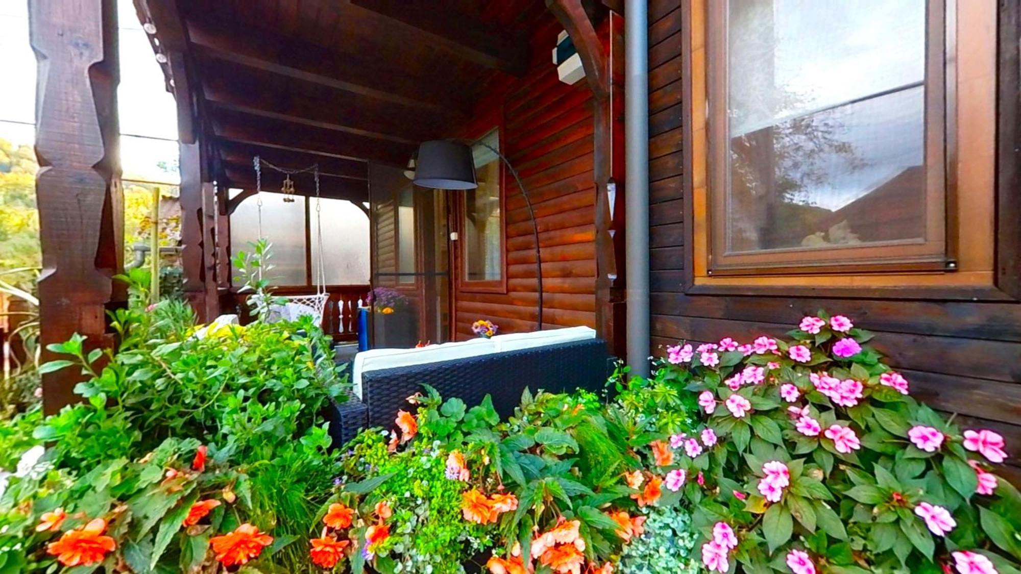 Villa "'Nu Ma Uita" Sovata Extérieur photo