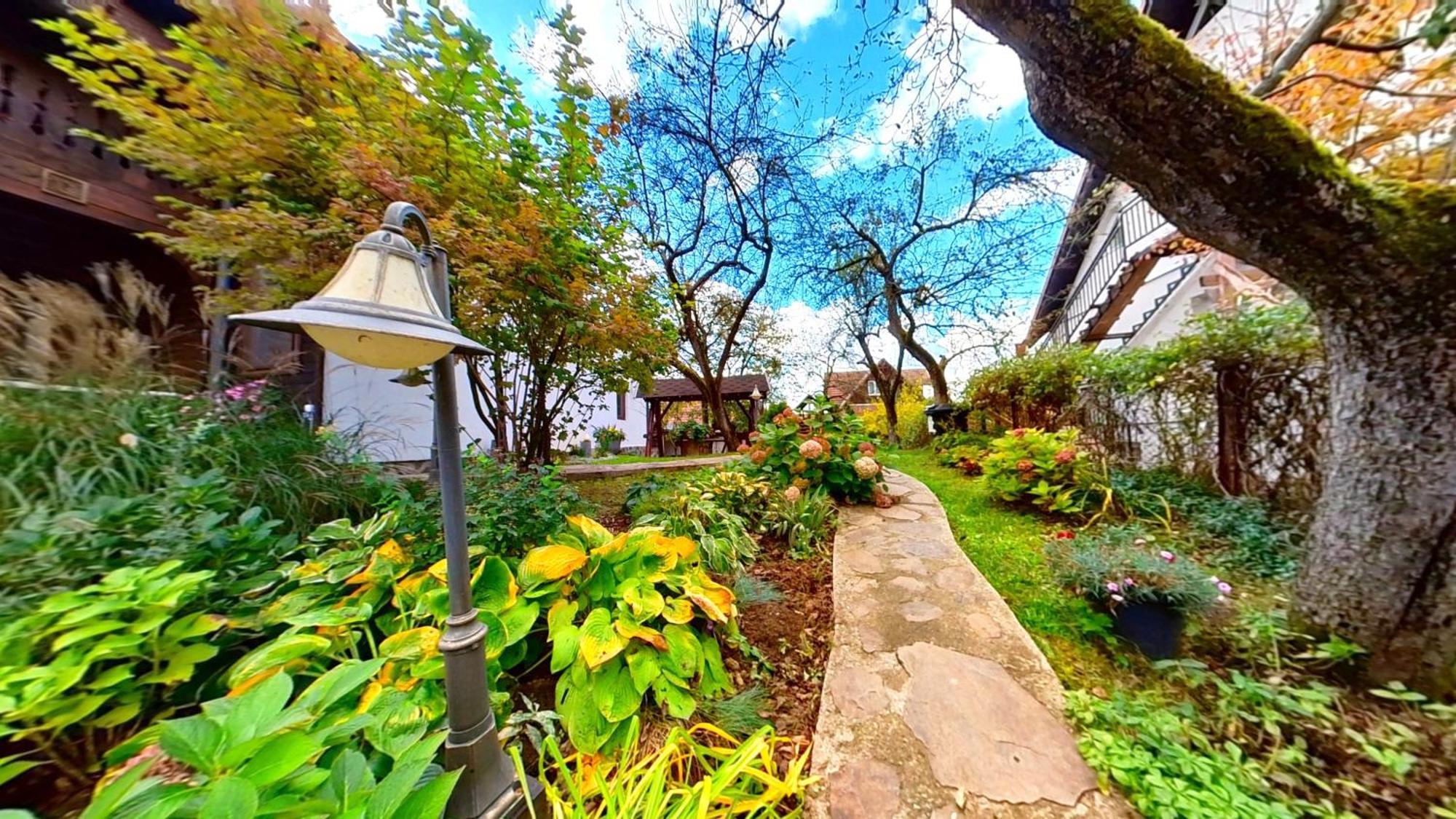 Villa "'Nu Ma Uita" Sovata Extérieur photo