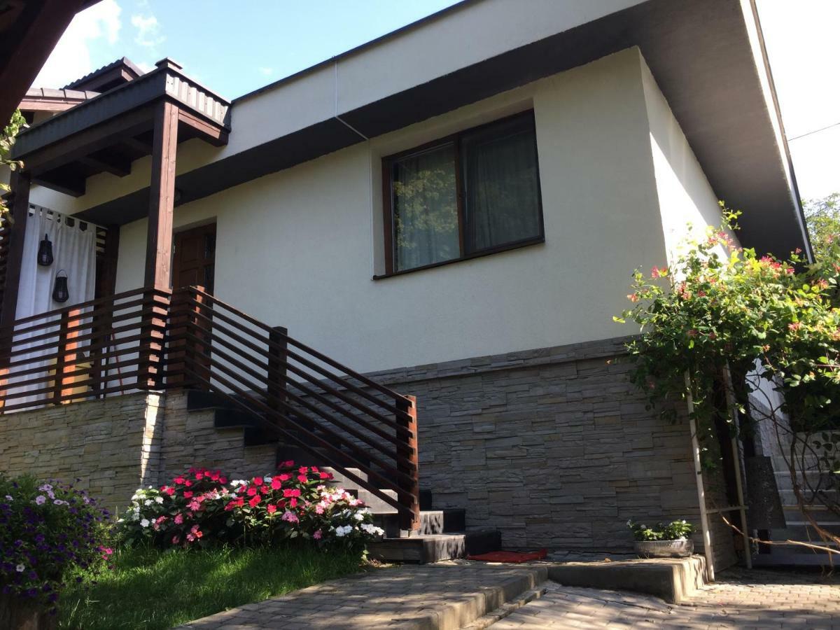 Villa "'Nu Ma Uita" Sovata Extérieur photo