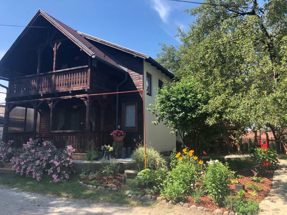 Villa "'Nu Ma Uita" Sovata Extérieur photo